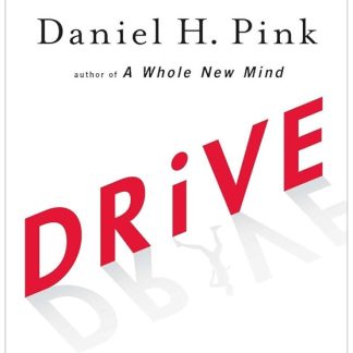 Drive The Surprising Truth About What Motivates Us by Daniel H. Pink