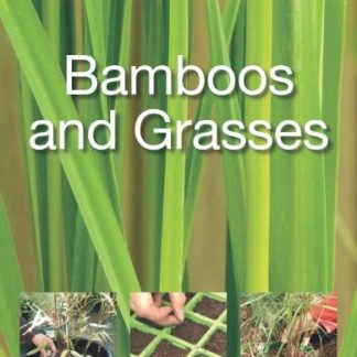 Bamboos and Grasses - Simple Steps to Success