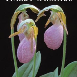 Growing Hardy Orchids