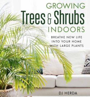 Growing Trees and Shrubs Indoors: Breathe New Life into Your Home with Large Plants