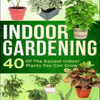 Indoor Gardening : 40 Of The Easiest Indoor Plants You Can Grow