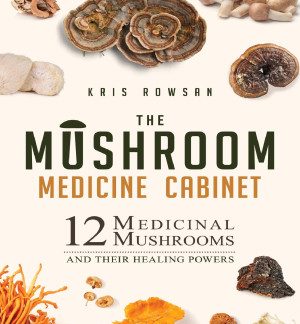 The Mushroom Medicine Cabinet: 12 Medicinal Mushrooms and Their Healing Powers
