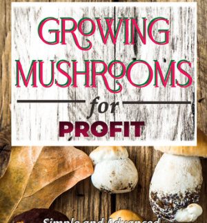 GROWING MUSHROOMS for PROFIT: Simple and Advanced Techniques for Growing